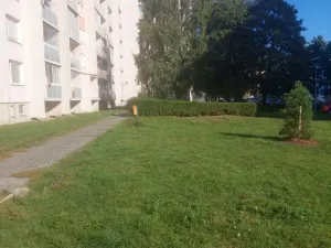 Prodej bytu 2+1, Olomouc, Heyrovského, 45 m2
