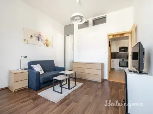 Pronájem bytu 2+kk, Praha - Nusle, Na Veselí, 50 m2