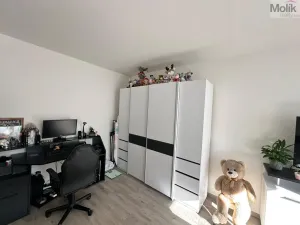 Pronájem bytu 2+1, Most, Zdeňka Fibicha, 56 m2
