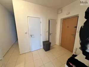 Pronájem bytu 2+1, Most, Zdeňka Fibicha, 56 m2