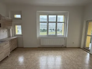 Pronájem bytu 2+1, Ústí nad Labem, Klíšská, 75 m2
