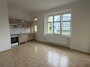 Pronájem bytu 2+1, Ústí nad Labem, Klíšská, 75 m2