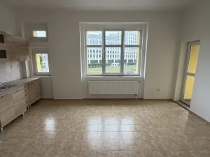 Pronájem bytu 2+1, Ústí nad Labem, Klíšská, 75 m2