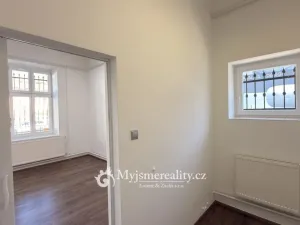 Pronájem ordinace, Znojmo, Kotkova, 46 m2