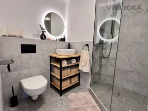 Pronájem bytu 1+kk, Praha - Čimice, Křivenická, 36 m2