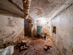 Prodej zemědělské usedlosti, Hostouň - Slatina, 700 m2