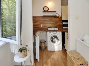 Pronájem bytu 1+kk, Praha, Michelangelova, 21 m2