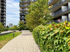 Pronájem bytu 1+kk, 33 m2