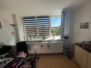 Pronájem bytu 1+kk, Pardubice, 42 m2