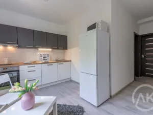 Pronájem bytu 2+1, Ostrava - Vítkovice, Erbenova, 51 m2