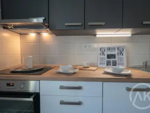 Pronájem bytu 2+1, Ostrava - Vítkovice, Erbenova, 51 m2