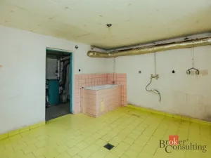 Prodej rodinného domu, Nový Bydžov, Havlíčkova, 90 m2