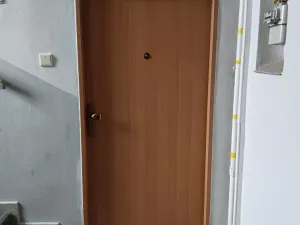 Pronájem bytu 2+kk, Plzeň - Východní Předměstí, Koterovská, 70 m2
