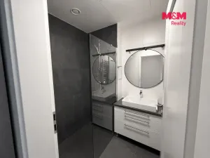 Pronájem bytu 2+kk, Praha - Strašnice, Limuzská, 52 m2