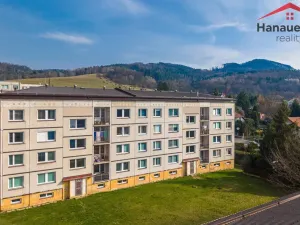 Prodej bytu 2+kk, Děčín - Děčín XXXII-Boletice nad Labem, V Sídlišti, 42 m2