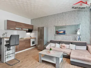 Prodej bytu 2+kk, Děčín - Děčín XXXII-Boletice nad Labem, V Sídlišti, 42 m2