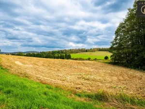 Prodej pozemku pro bydlení, Klatovy - Kydliny, 4431 m2