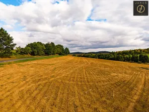 Prodej pozemku pro bydlení, Klatovy - Kydliny, 4431 m2