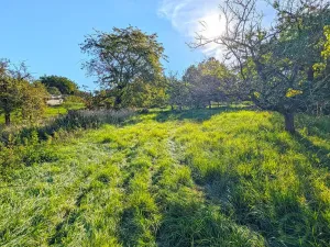 Prodej rodinného domu, Dobřenice, 216 m2