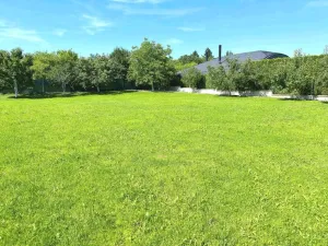 Pronájem rodinného domu, Trnová, 450 m2