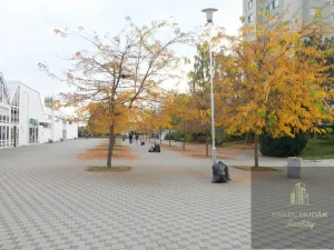 Pronájem obchodního prostoru, Plzeň - Skvrňany, Karla Steinera, 9 m2