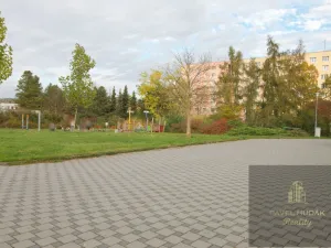 Pronájem obchodního prostoru, Plzeň - Skvrňany, Karla Steinera, 9 m2