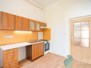 Prodej činžovního domu, České Budějovice - České Budějovice 3, Fráni Šrámka, 647 m2