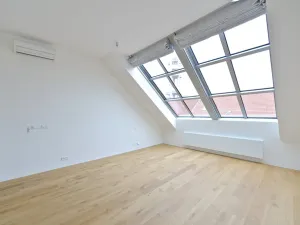 Pronájem bytu 4+kk, Praha - Vinohrady, Laubova, 203 m2