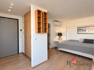 Pronájem bytu 1+kk, Praha - Dejvice, Nikoly Tesly, 46 m2