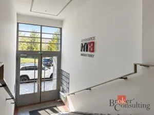 Pronájem bytu 1+kk, Praha - Dejvice, Nikoly Tesly, 46 m2