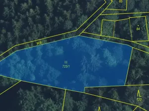 Prodej louky, Strážná, 2049 m2