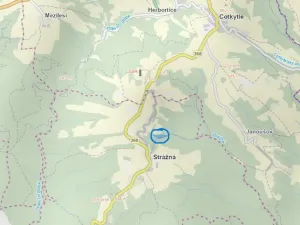 Prodej lesa, Strážná, 11485 m2