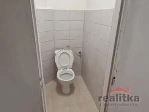 Pronájem bytu 3+1, Opava - Předměstí, Komenského, 106 m2
