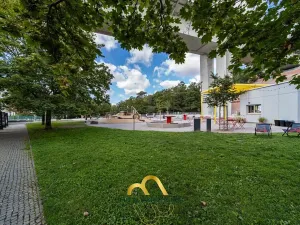 Pronájem bytu 3+kk, Praha - Vinohrady, Pod Karlovem, 85 m2