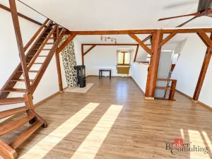 Prodej bytu 4+kk, Litvínov - Horní Litvínov, Podkrušnohorská, 165 m2