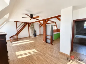 Prodej bytu 4+kk, Litvínov - Horní Litvínov, Podkrušnohorská, 165 m2