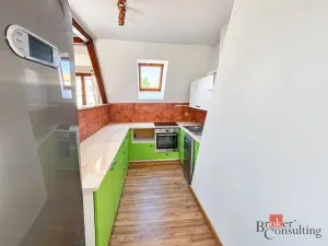 Prodej bytu 4+kk, Litvínov - Horní Litvínov, Podkrušnohorská, 165 m2