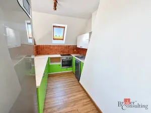 Prodej bytu 4+kk, Litvínov - Horní Litvínov, Podkrušnohorská, 165 m2