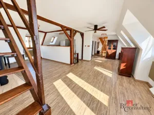 Prodej bytu 4+kk, Litvínov - Horní Litvínov, Podkrušnohorská, 165 m2