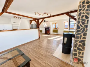 Prodej bytu 4+kk, Litvínov - Horní Litvínov, Podkrušnohorská, 165 m2