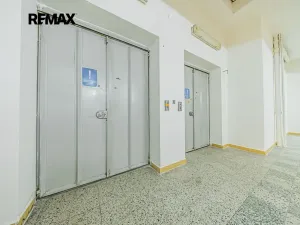 Pronájem obchodního prostoru, Štětí, Obchodní, 1366 m2