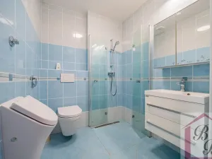 Prodej rodinného domu, Mladá Boleslav, 154 m2