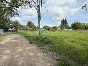Prodej zahrady, Františkovy Lázně - Horní Lomany, Horní, 1146 m2