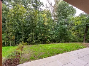 Pronájem bytu 1+kk, Slaný - Kvíček, K. H. Borovského, 45 m2