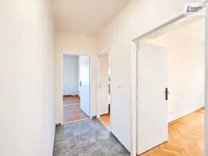 Prodej rodinného domu, Nečín, 500 m2