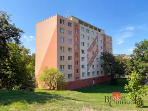 Prodej bytu 2+1, Chomutov, Cihlářská, 54 m2