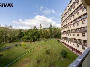 Pronájem bytu 2+kk, Litvínov - Horní Litvínov, Koldům, 49 m2