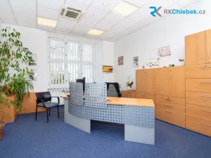 Pronájem obchodního prostoru, Frýdek-Místek - Frýdek, tř. T. G. Masaryka, 396 m2