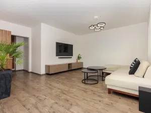 Prodej bytu 2+kk, Plzeň, U Velkého rybníka, 81 m2