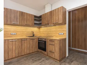 Prodej bytu 2+kk, Plzeň, U Velkého rybníka, 81 m2